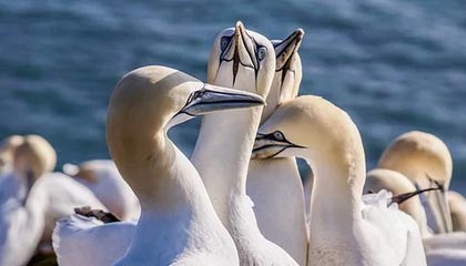 开云·体育全站登录地址-教练培训是否过于注重理论缺乏实战演练，教练员培训要注意哪些方面