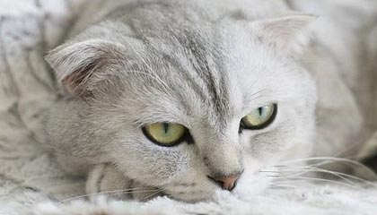 开云·体育全站登录地址-教练培训是否过于注重理论缺乏实战演练，教练员培训要注意哪些方面