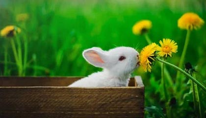 开云·体育全站登录地址-教练培训是否过于注重理论缺乏实战演练，教练员培训要注意哪些方面