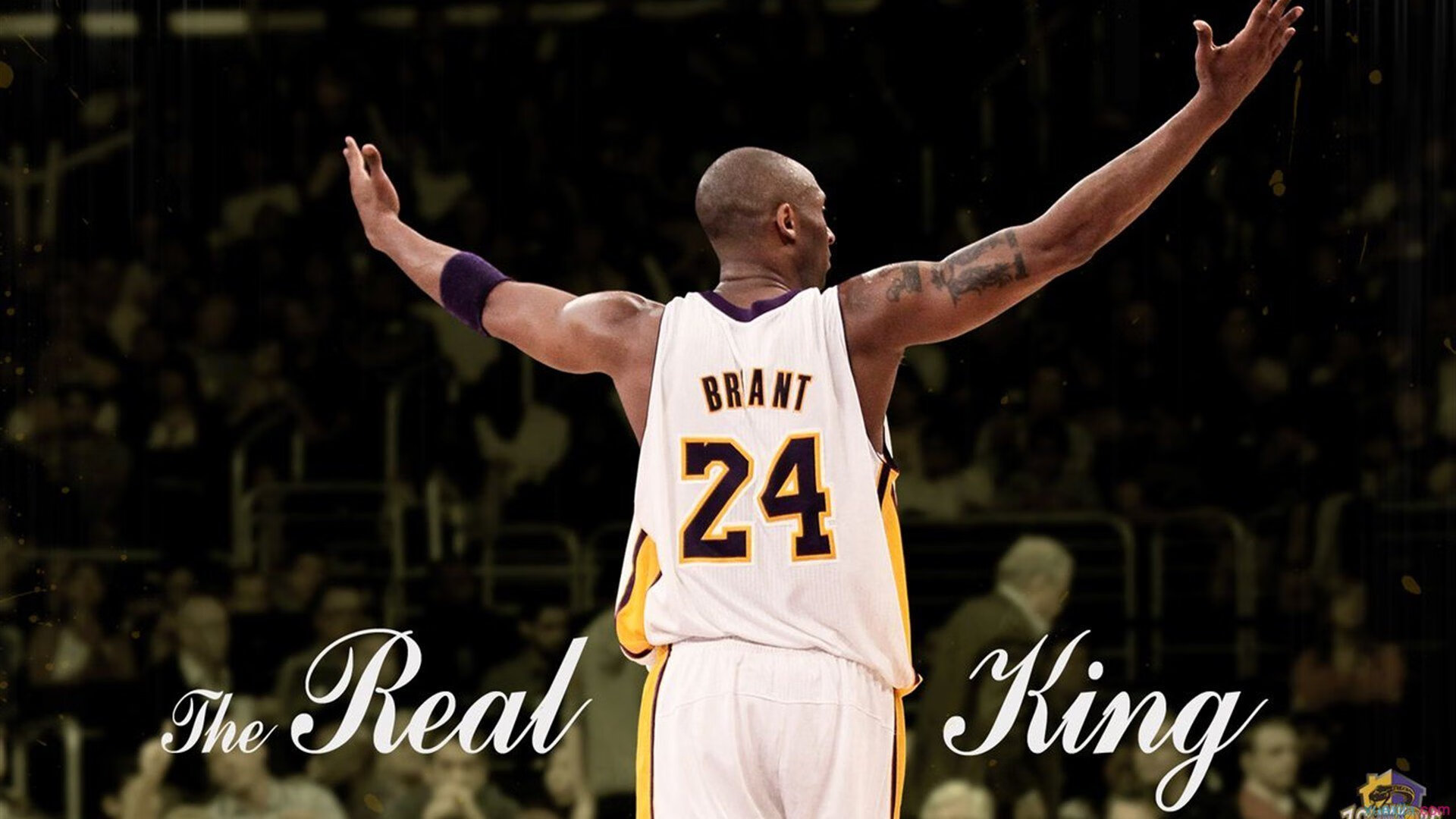 冰壶锦标赛：冰面上的战略博弈，冰壶比赛规则视频讲解